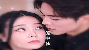 笼中雀
